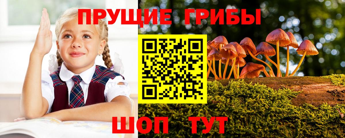 Галлюциногенные грибы Cubensis  Вход с VPN  Тутаев 
